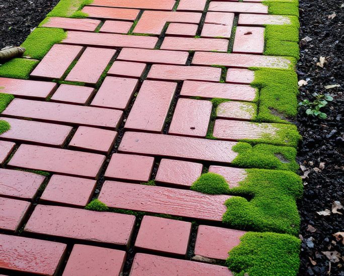 Red brick pathway lined with green moss in a garden setting during overcast weather A red brick pathway winds through a garden, bordered by vibrant green moss. The pathway appears to be well-trodden and is accentuated by the dampness from a recent rain.